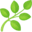 🌿