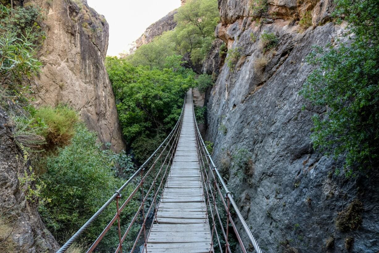 puente coganta cahorros.jpg