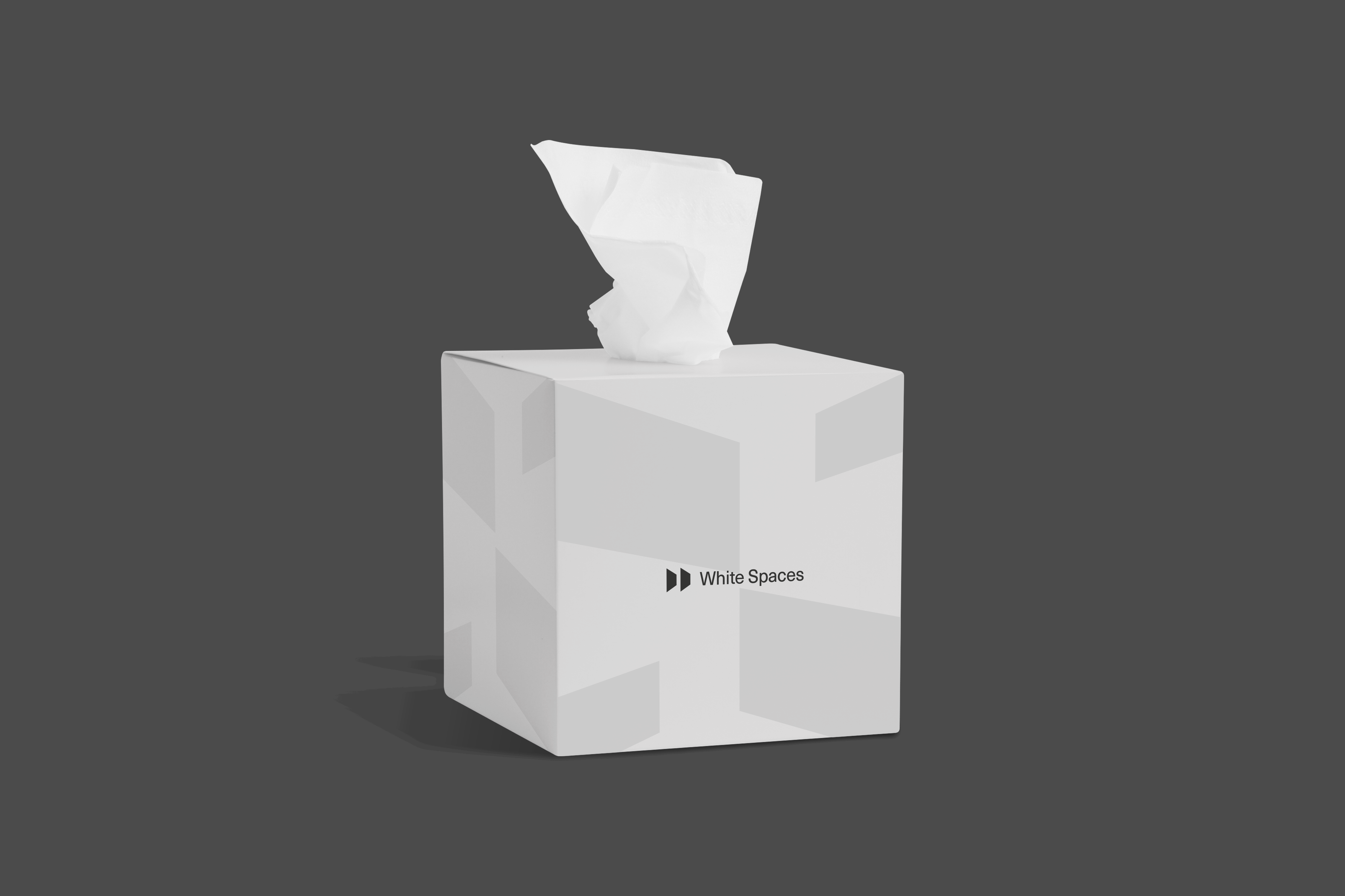 Tissue_Box_02.png
