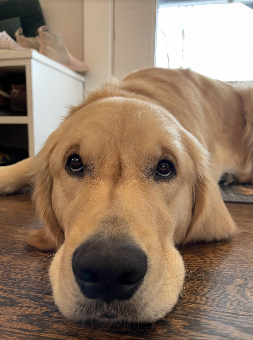 Screen Shot 2022-03-23 at 3.43.52 PM.png