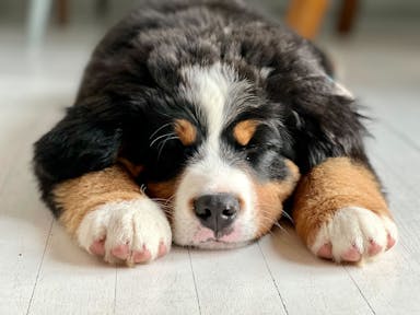 Image from iOS (1).jpg