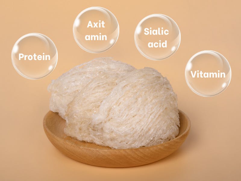 Lợi ích của Yến sào cho từng độ tuổi.jpg
