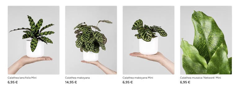 Product card.jpg