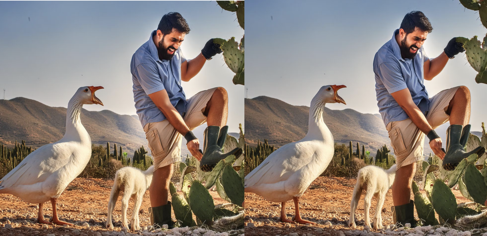 CleanShot 2024-07-06 at 14.04.55@2x.png