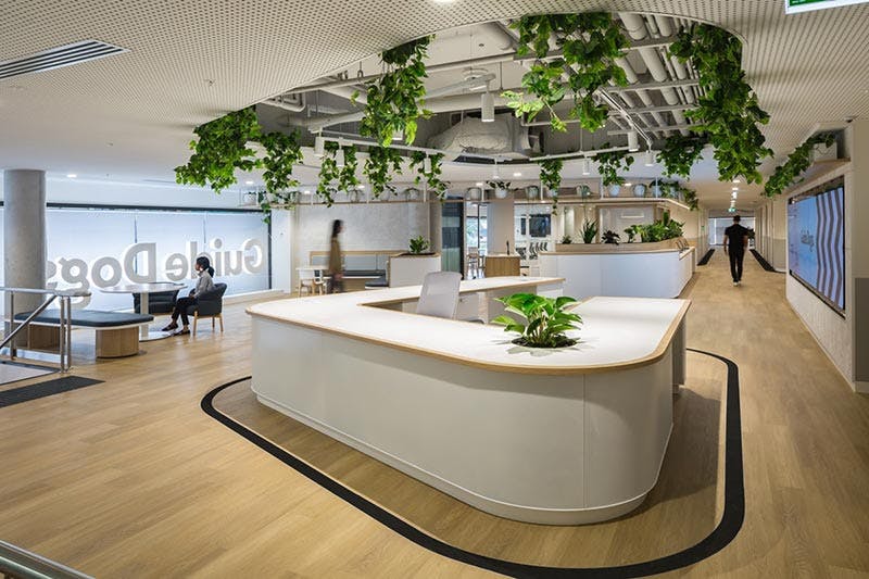 Cach len ke hoach cai tao van phong thong minh va hieu qua 1.jpg