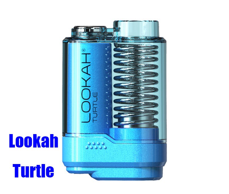 Lookah Turtle.jpg