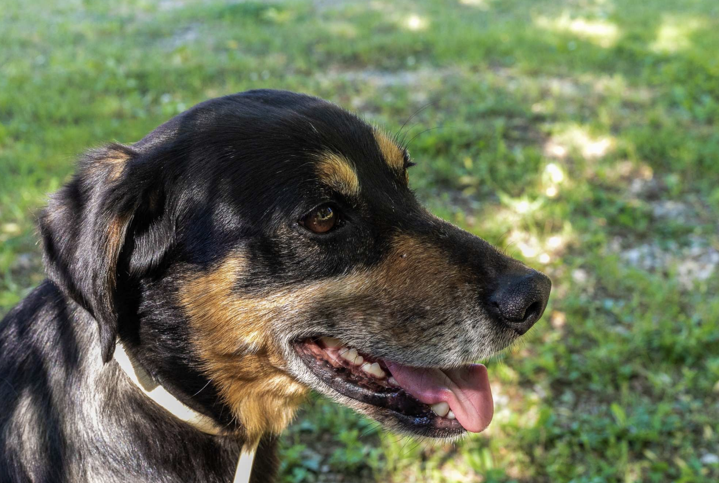 Screenshot 2022-06-11 at 23.24.31.png