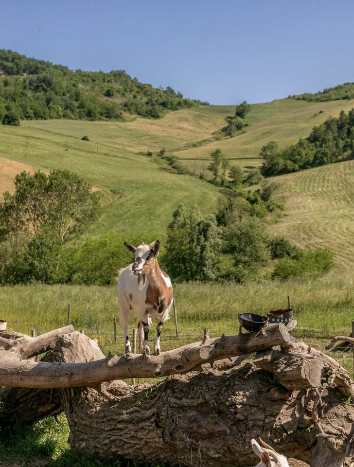 Screenshot 2022-06-11 at 23.24.25.png