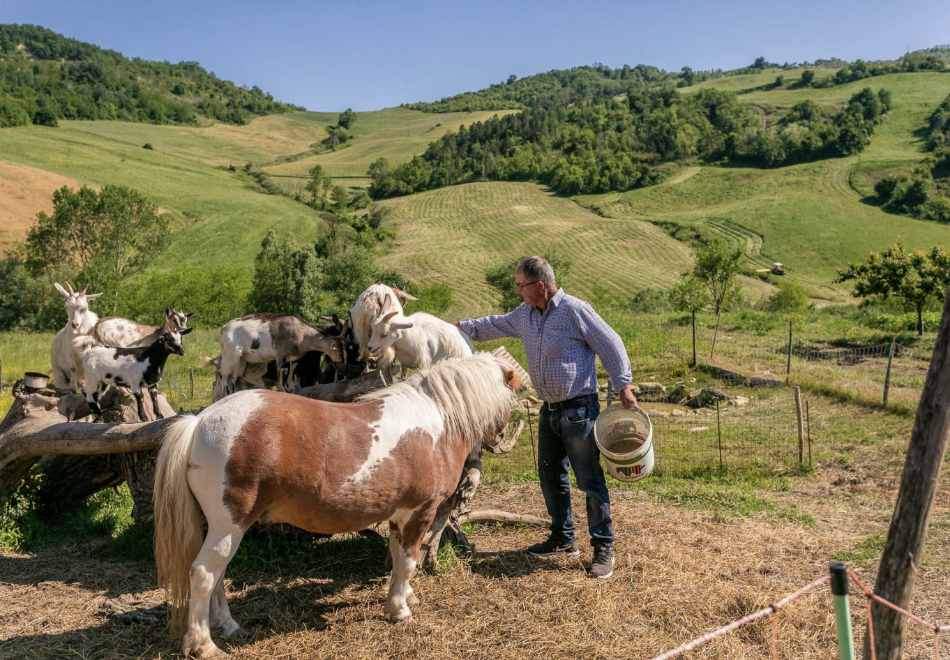 Screenshot 2022-06-11 at 23.04.41.png