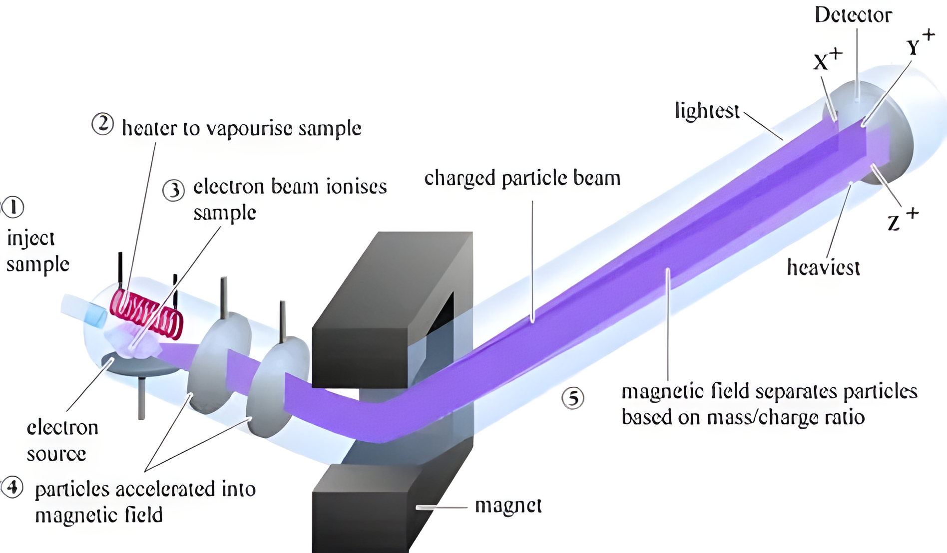 mass spectroscopy.png