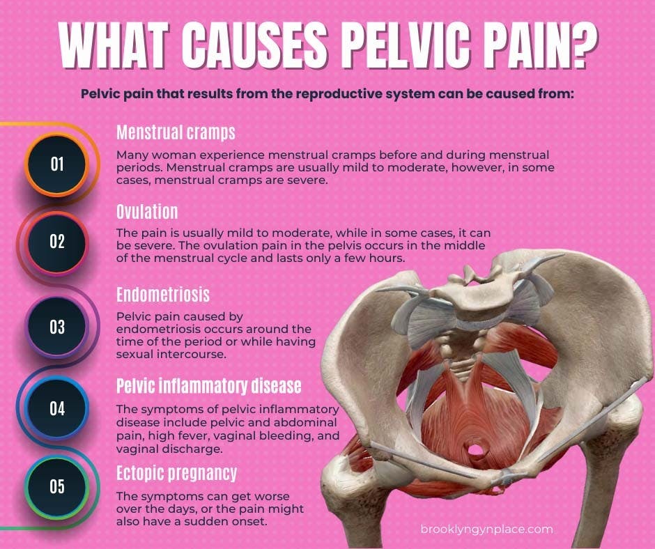 What Causes Pelvic Pain.jpg