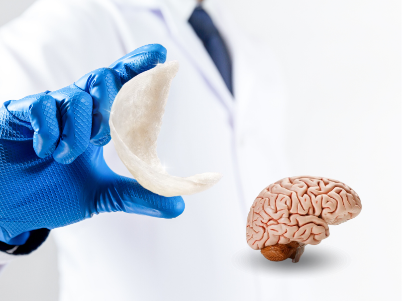 Yến sào đối với hệ thần kinh.png