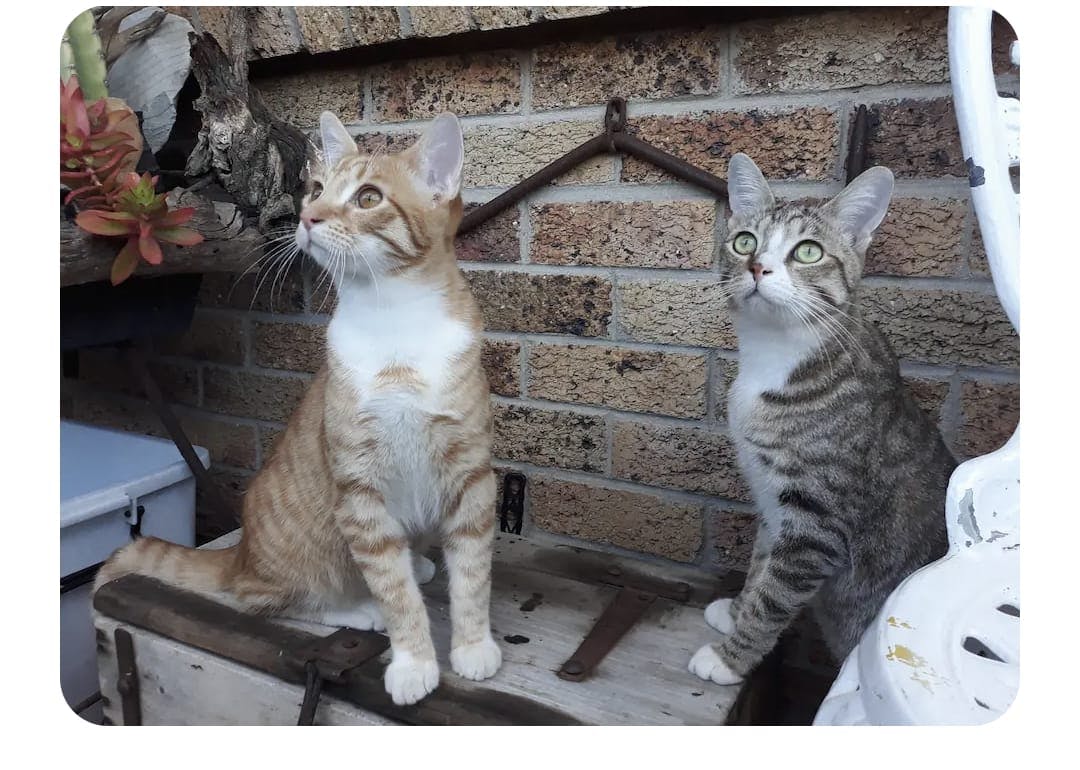 WhatsApp Image 2025-10-28 at 09.31.05.jpeg