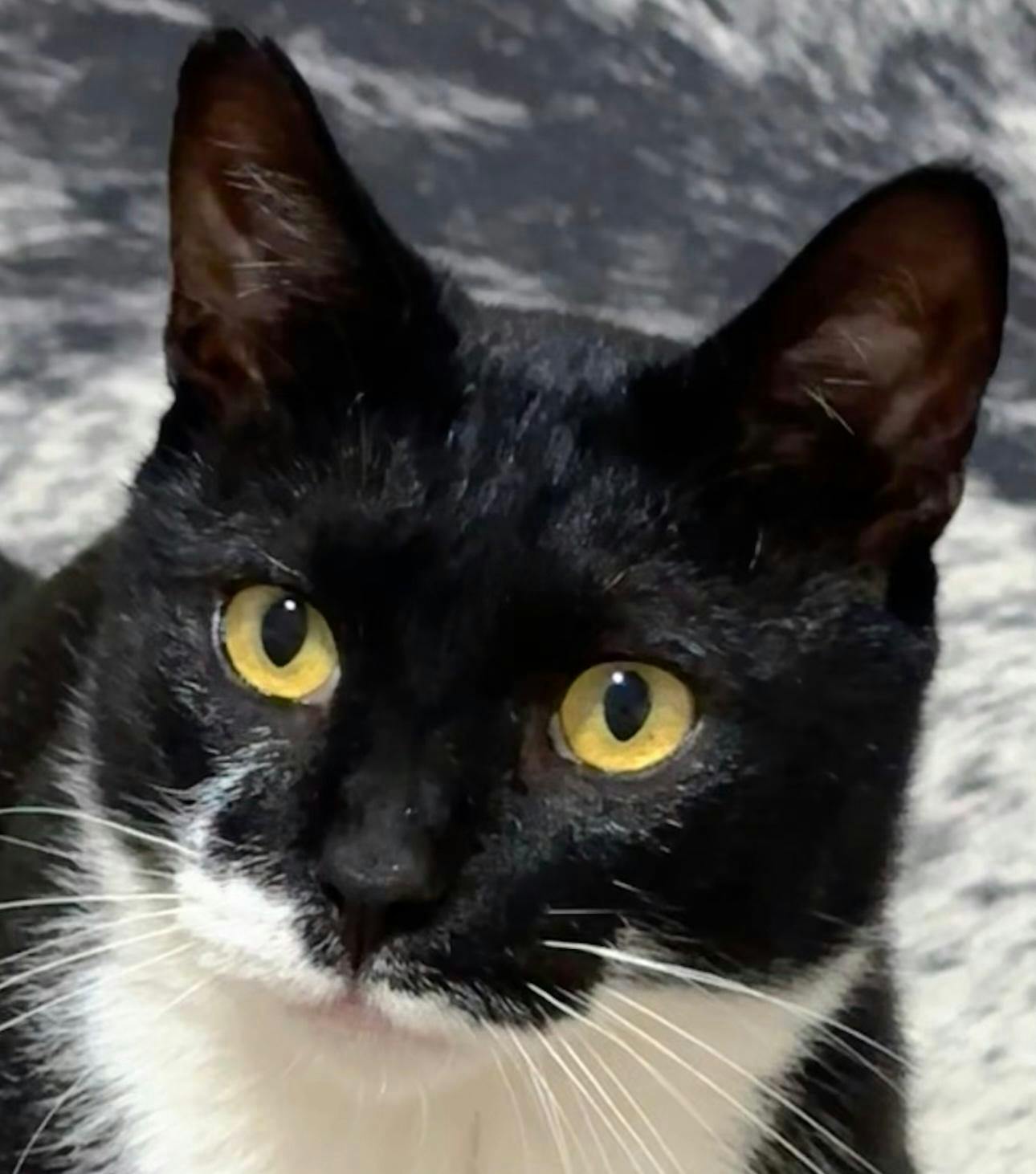 WhatsApp Image 2025-10-15 at 17.37.18.jpeg