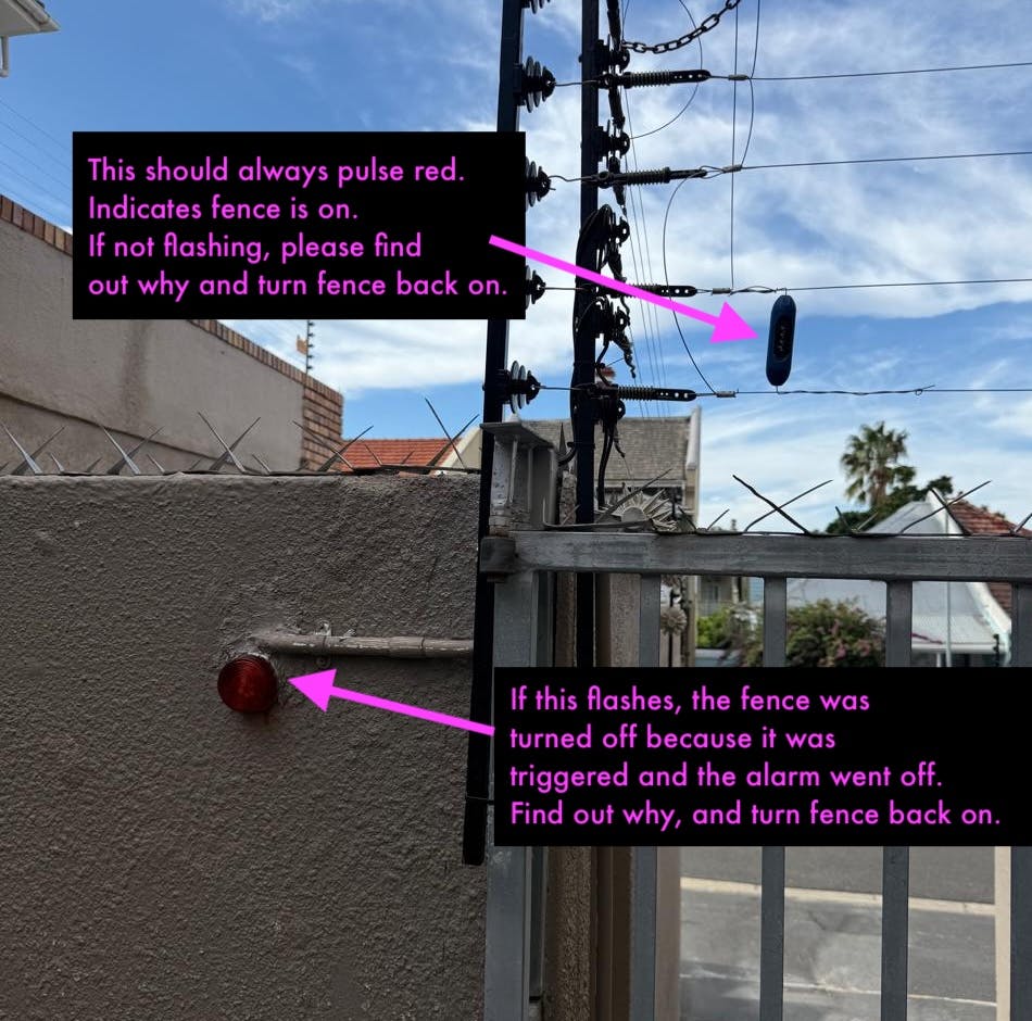 WhatsApp Image 2025-04-26 at 15.47.08.jpeg