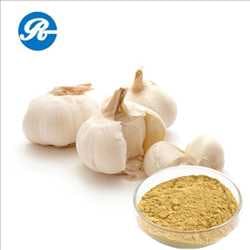 Global Garlic Extract Market demand