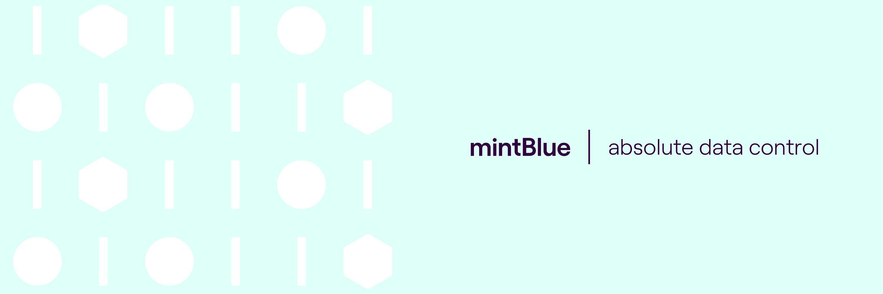 mintBlue_LinkedIn-company-banner_v1 (2).jpg