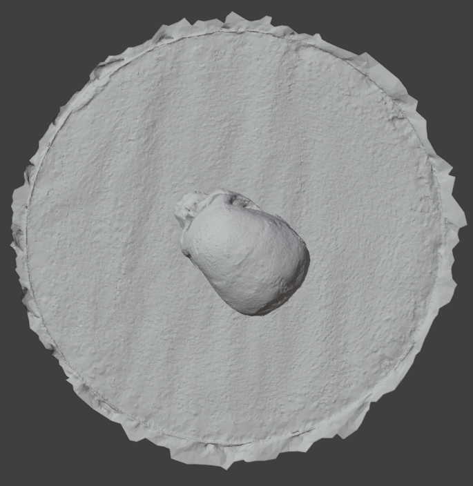 Screenshot 2025-11-06 091808.png