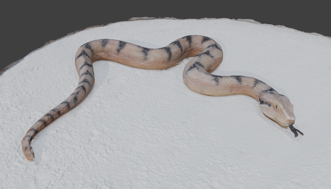 Screenshot 2025-09-14 170154.png