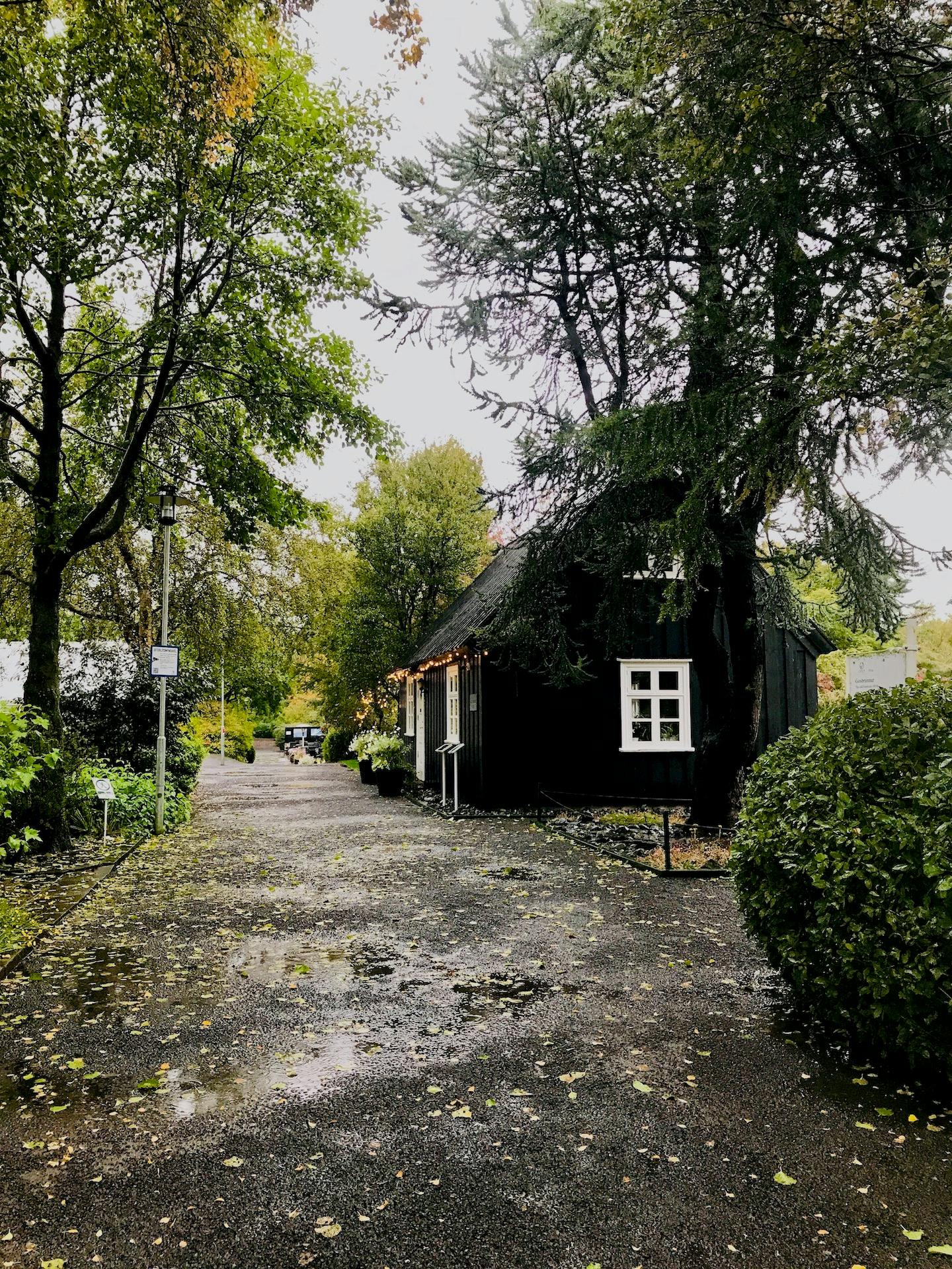 islande 09-18 · 033.jpeg