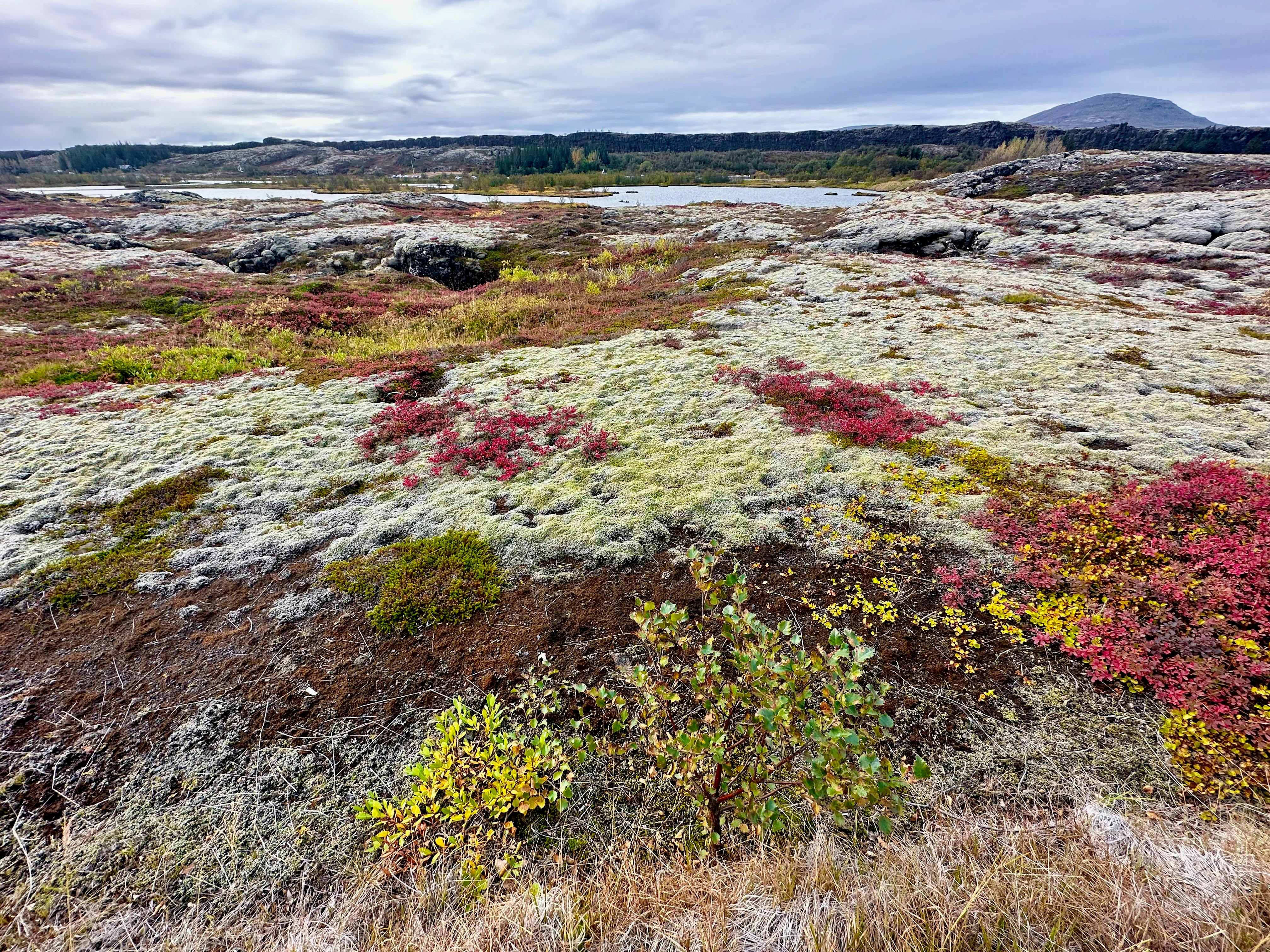 islande 09-22 · 008.jpeg