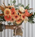 light-orange-daisies.png
