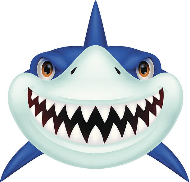 istockphoto-504652521-612x612.jpg