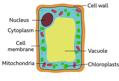 image 12.png