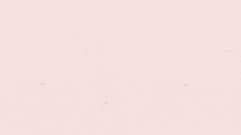 Coda Pack Studio.gif