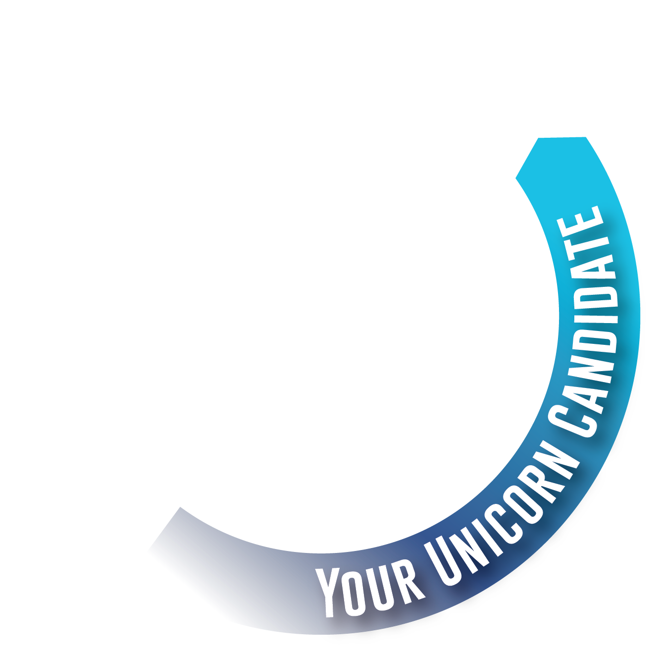 Your Unicorn Candidate 