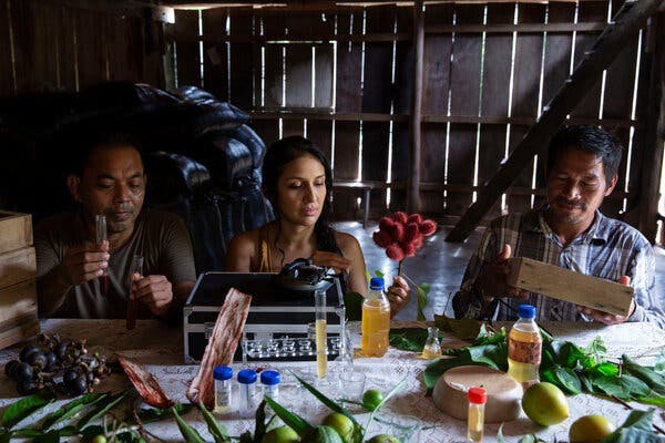 Dr. Delgado, Dr. Vásquez Espinoza and Mr. Vela sit at a long wooden table with honey, plants, tubes and wooden beehive sections in a wood-walled room.