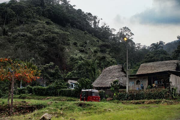 Thatched-roof buildings at the base of a jungly hill.