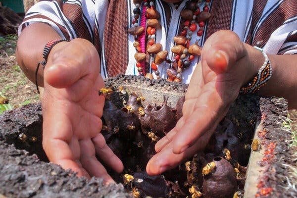 A pair of hands reach into a beehive full of bees.