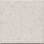 Shell_AS_Ivory_P (1).png