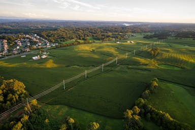 green grass during daytime