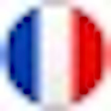 flag-france_1f1eb-1f1f7.jpg