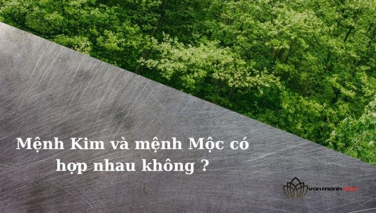 Mệnh Kim và Mệnh Mộc: Hợp hay Khắc?