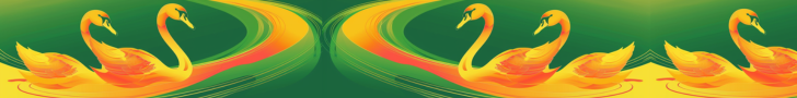 2024-05may23rd-orange-swan-river-BANNER-728x90.png