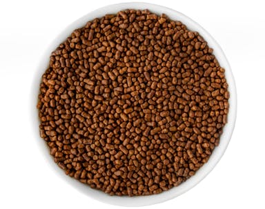 9J5A9495-_1_.jpg