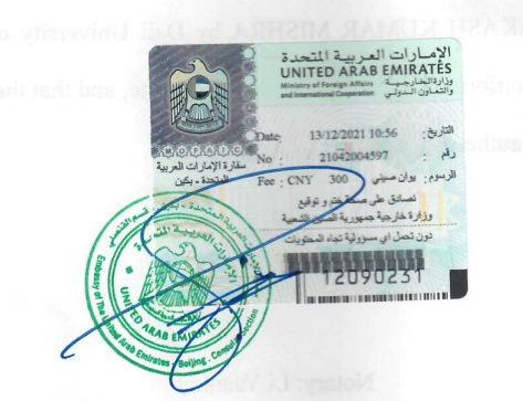 China UAE consular stamp.png