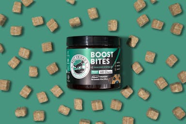 2f-Best Friend's Wellness_r1_DFS74951.jpg