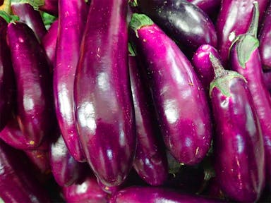 2.mini-red-brinjal-22764.jpg