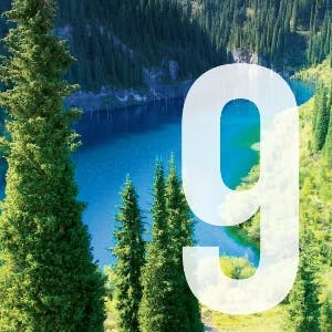 9.webp