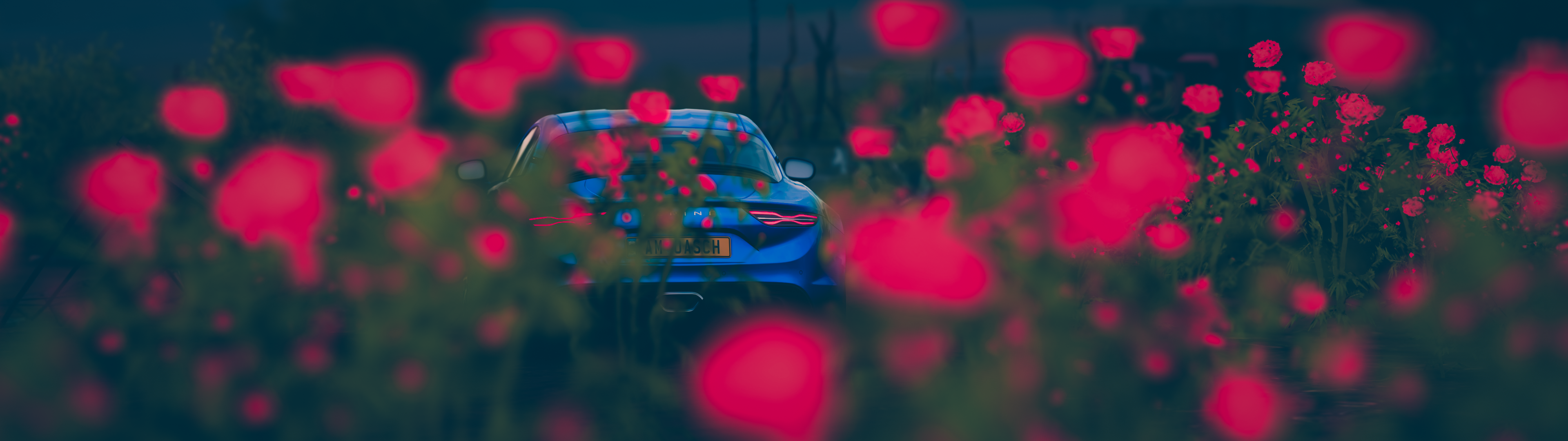 Forza Horizon 5 17.02.2022 13_59_52-2-1_1.png