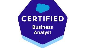 business analyst.png