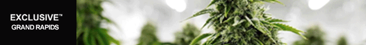 crtvs_c50f8368-4a62-447a-bcf3-d90d90ca0a80.gif
