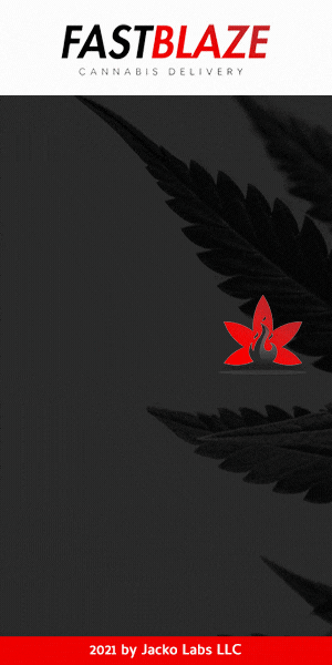 FastBlaze-300x600.gif