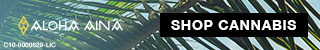 crtvs_f9e2e7df-31f0-4426-8595-995a76b70e98.png