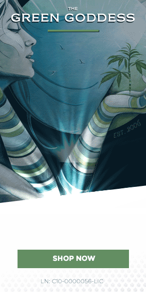 GG-300x600-1.gif