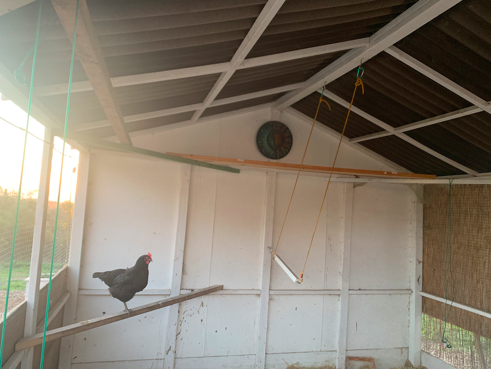 Screen Shot 2020-03-05 at 2.44.32 PM.png